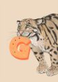 4177-g-alphapard-art-print-31877609128092-12.jpg