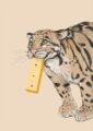 4177-i-alphapard-art-print-31877608308892-12.jpg