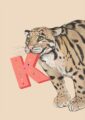 4177-k-alphapard-art-print-31877609390236-12.jpg