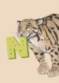 4177-n-alphapard-art-print-31877609095324-12.jpg