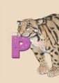 4177-p-alphapard-art-print-31877608571036-12.jpg