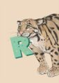 4177-r-alphapard-art-print-31877609652380-12.jpg