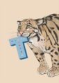 4177-t-alphapard-art-print-31877608439964-12.jpg