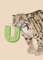 4177-u-alphapard-art-print-31877609357468-12.jpg