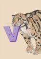 4177-v-alphapard-art-print-31877608538268-12.jpg