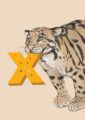 4177-x-alphapard-art-print-31877609488540-12.jpg