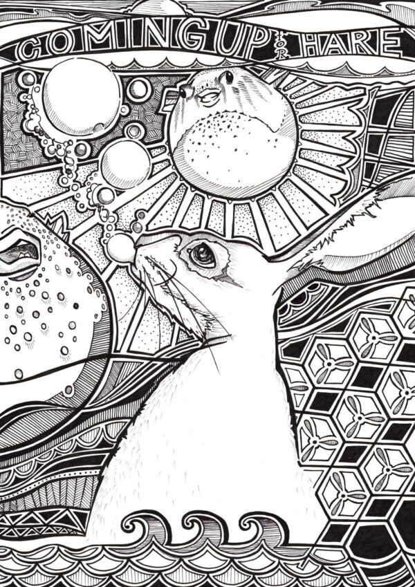 4211-coming-up-for-hare-matte-art-print-5060583431399-19847963869340-2.jpg