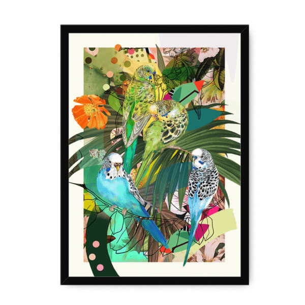 4231-framed-black-blooming-budgerigars-matte-framed-print-29154382315676-15.png
