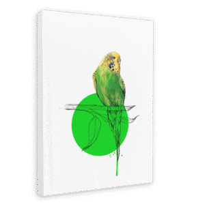 Budgie Canvas Print