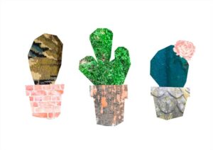3 Cactus Collage Matte Art Print