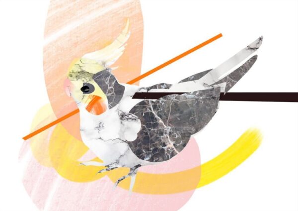 45394-marble-cockatiel-matte-art-print-5060583430996-17115093729436-2.jpg