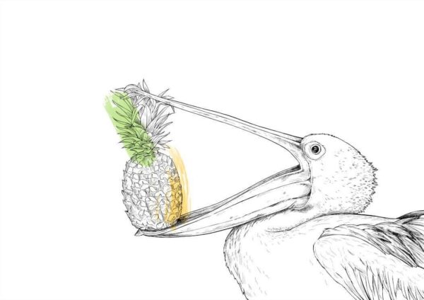 45401-pineapple-pelican-matte-art-print-5060583430286-17115075444892-3.jpg