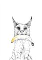 45402-banana-bobcat-matte-art-print-5060583430293-19847964360860-3.jpg