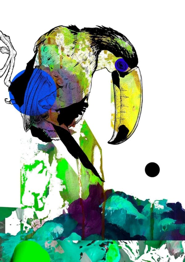 4541-tropical-trio-toucan-matte-art-print-5060583430309-19847857995932-2.jpg 4541-tropical-trio-toucan-matte-art-print-5060583430309-19847857995932-2.jpg