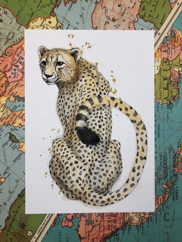 4670-cheetah-sits-matte-art-print-5060583430705-17115075248284-3.jpg