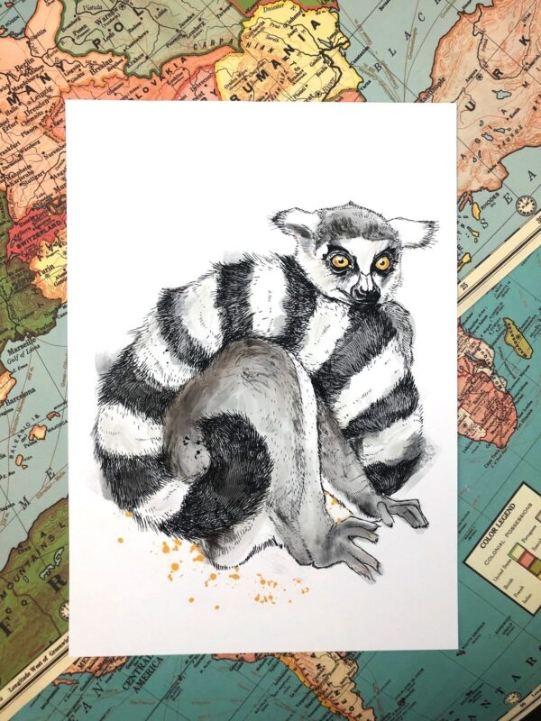 4671-lemur-matte-art-print-5060583430712-17115075018908-3.jpg