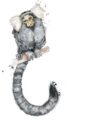 4672-marmoset-matte-art-print-5060583430729-17115110473884-2.jpg