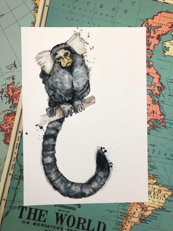 4672-marmoset-matte-art-print-5060583430729-17115110506652-2.jpg