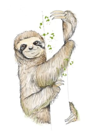 Sloth Matte Art Print