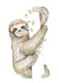 4674-sloth-matte-art-print-5060583430743-18173403988124-3.jpg