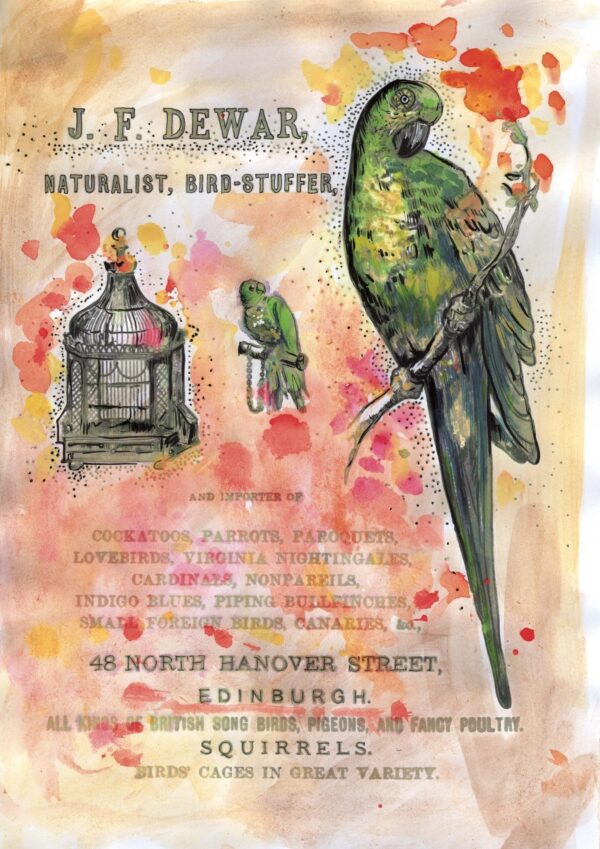 4853-bird-stuffer-matte-art-print-5060583431528-19847914586268.jpg