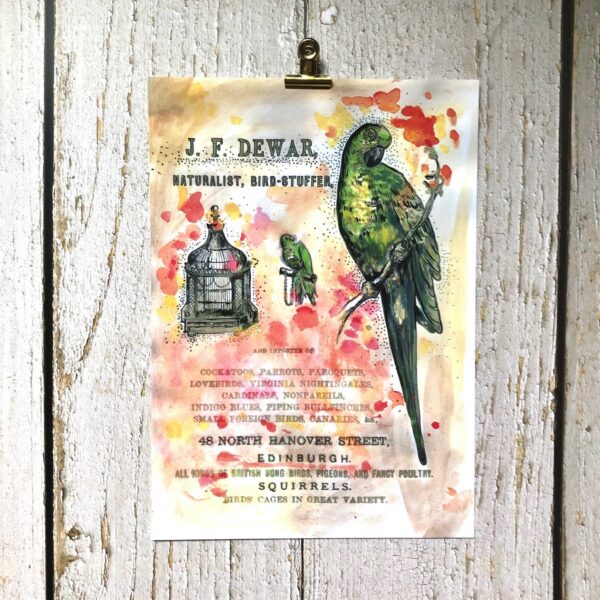 4853-bird-stuffer-matte-art-print-5060583431528-19847914619036.jpg