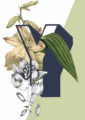 48acf3dd10dc2a5b98dfa3948470d7180d5dc361_d5b044a7-ab02-4eb3-9e3a-d730d5037547-3.png