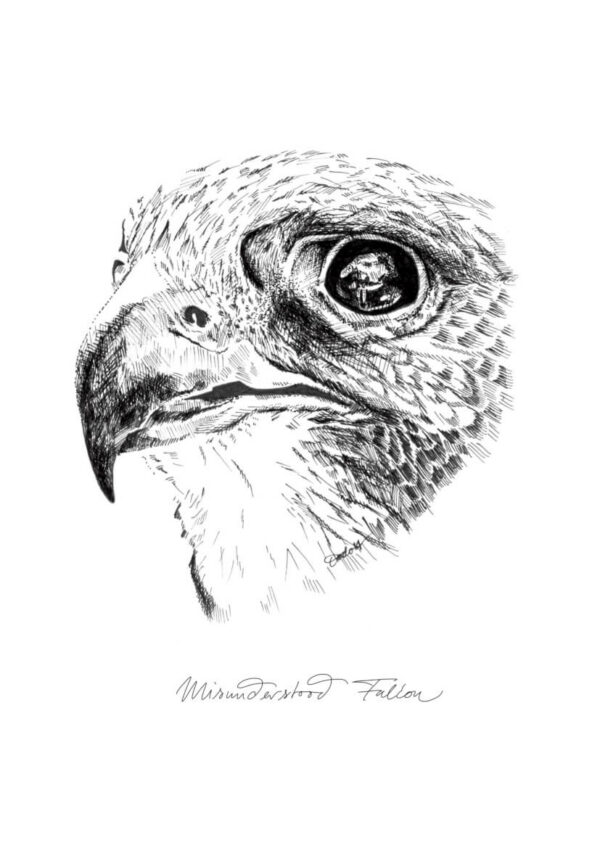 5122_Misunderstood_Falcon_e41c0fe9-caf2-49c7-a859-510726ad308d.jpg