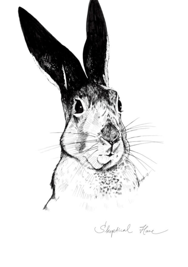 5123_Skeptical_Hare_72e784fe-f0a1-4a35-b0b6-87ff5324eb85-2.jpg