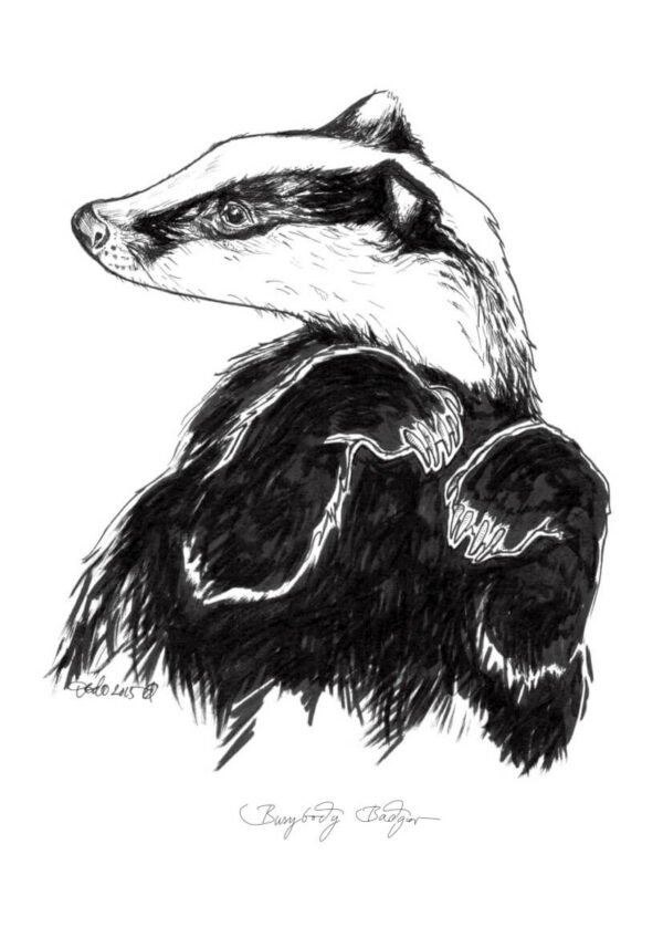 5125_Busybody_Badger_49be1162-d0b0-4a3a-96b7-da40a0d1f0d7.jpg