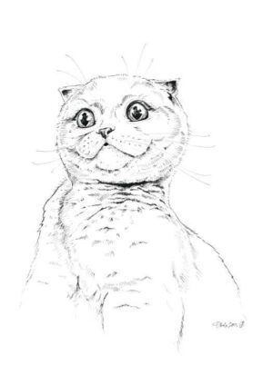 Surprise Kitty Matte Art Print