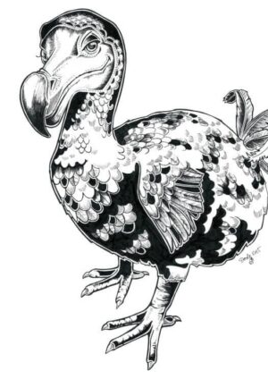 Dodo Matte Art Print