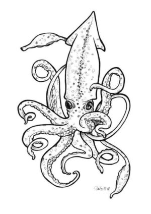 Squid Matte Art Print