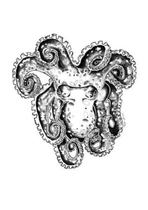Octopus Matte Art Print
