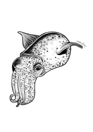 CuddleFisk Matte Art Print