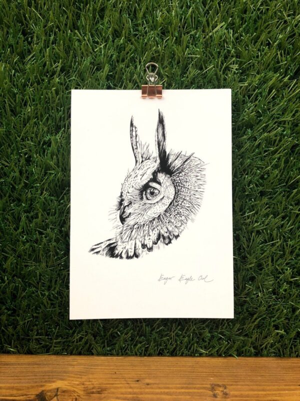 55124-eager-eagle-owl-matte-art-print-5060583434079-19847849509020.jpg