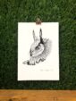 55124-eager-eagle-owl-matte-art-print-5060583434079-19847849509020.jpg