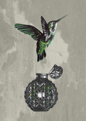 Hummingbird Perfume Matte Art Print