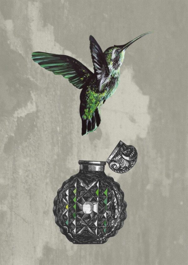 5516-hummingbird-perfume-matte-art-print-5060583434734-17115334934684.jpg