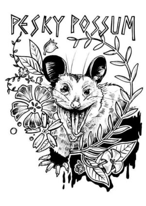 Pesky Possum Matte Art Print