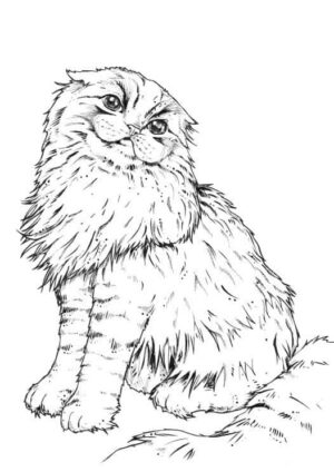 Approval Kitty Matte Art Print