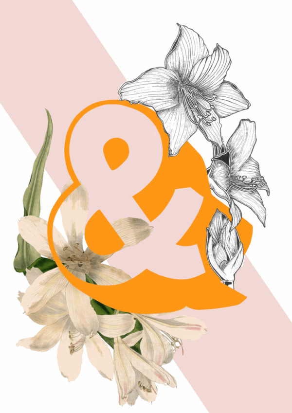 559f0adc7dae15306dabd31e3a2bcf385bbcd439_9d27694c-8355-4402-aec3-a0a352deb370.png