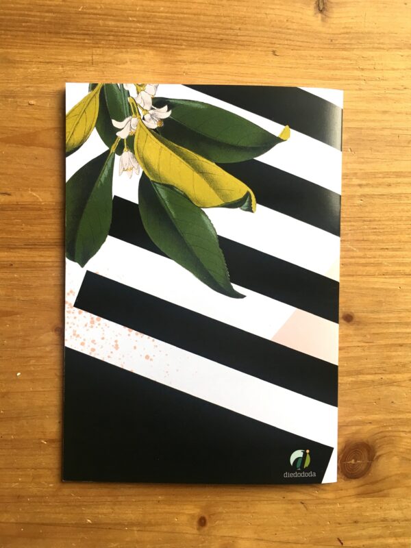 7102-neroli-notebook-19847895744668-2.jpg