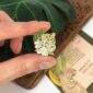 7209-botanist-leopard-pin-5056472906659-17295539568796-2.jpg