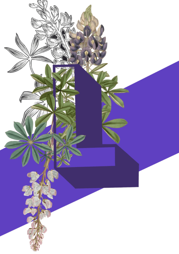 73d0405bfbb7b347d5910fb8cb8b8c3e.png