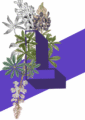 73d0405bfbb7b347d5910fb8cb8b8c3e.png