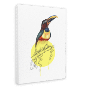 Chestnut Eared Araçari Canvas Print