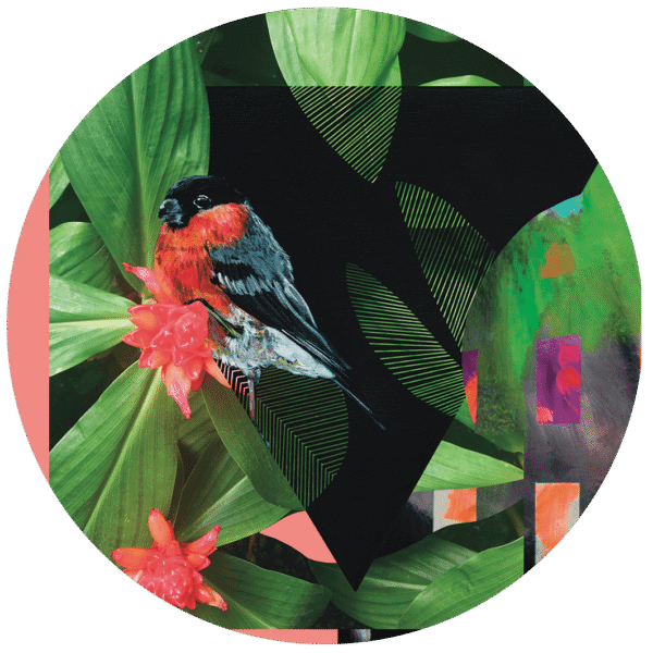 7559-who-s-a-pretty-bird-pocket-mirror-14365193476.png