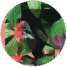 7559-who-s-a-pretty-bird-pocket-mirror-14365193476.png