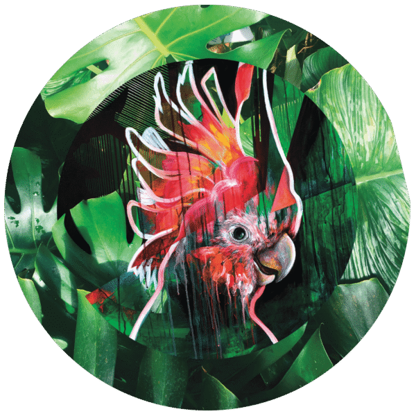 7559-who-s-a-pretty-bird-pocket-mirror-14365262980.png